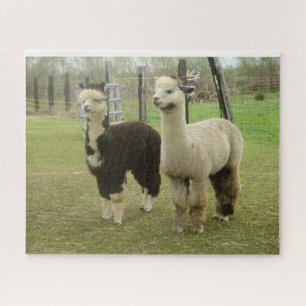 Alpacas Legpuzzel