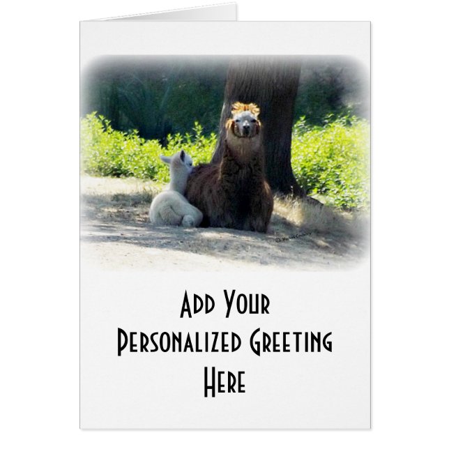 Alpacas - Mam en Baby (Voorkant)