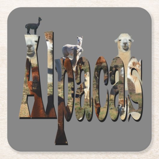 Alpacas met Alpaca Afbeelding Logo, Onderzetter (Voorkant)