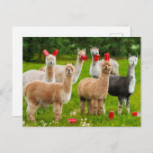 Alpaca's met rode kopjes uitnodiging briefkaart (Voorkant / Achterkant)