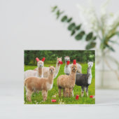 Alpaca's met rode kopjes uitnodiging briefkaart (Staand voorkant)