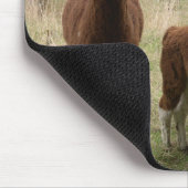 Alpacas Muismat (Hoek)