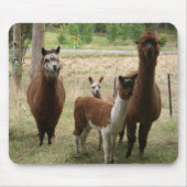 Alpacas Muismat (Voorkant)