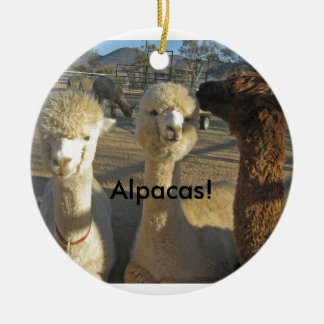 Alpacas. Ornament