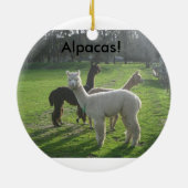 Alpacas. Ornament (Achterkant)