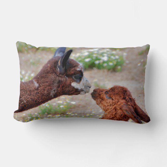 Alpacas Pillow Kussen (Voorkant)