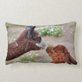 Alpacas Pillow Kussen