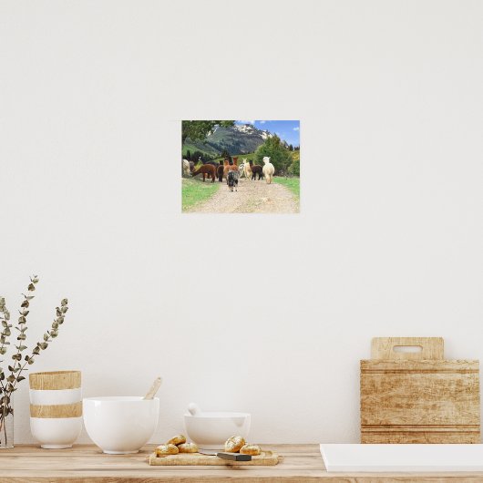 Alpacas Poster (Keuken)