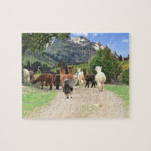 Alpacas Puzzle Legpuzzel