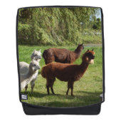 Alpacas Rugtassen (Voorkant)