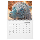 Alpacas Wall Agenda Kalender (Feb 2027)