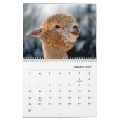 Alpacas Wall Agenda Kalender (Jan 2027)