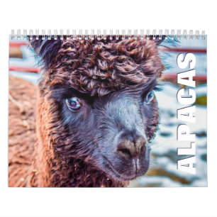 Alpacas Wall Agenda Kalender
