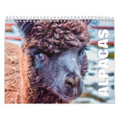 Alpacas Wall Agenda Kalender (Hoes)