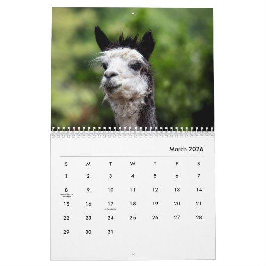 Alpacas Wall Agenda Kalender (Mar 2026)