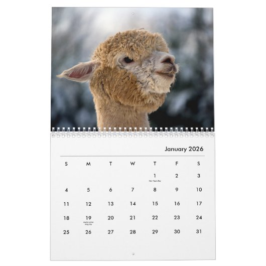 Alpacas Wall Agenda Kalender (Jan 2026)