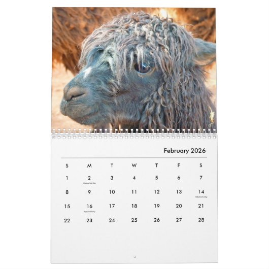 Alpacas Wall Agenda Kalender (Feb 2026)