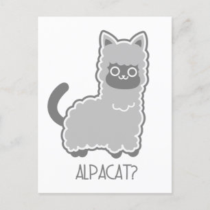 Alpacat? Briefkaart