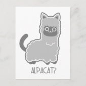 Alpacat? Briefkaart (Voorkant)