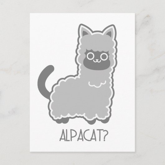 Alpacat? Briefkaart (Voorkant)