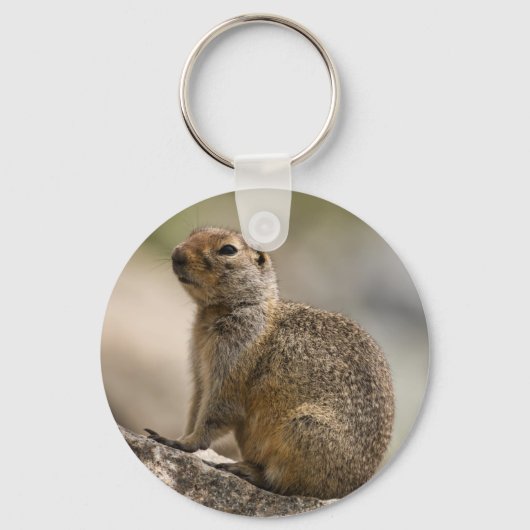 Alpen Hoary Marmot Sleutelhanger (Voorkant)