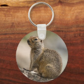 Alpen Hoary Marmot Sleutelhanger (Voorkant)