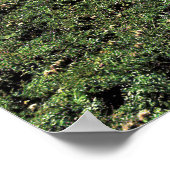 Alpen in Zwitserland Poster (Hoek)