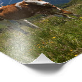 Alpen Koeienprint Foto Afdruk (Hoek)