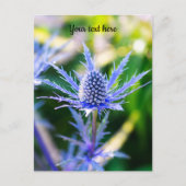 Alpen Mannstreu Ansichtkaart Briefkaart (Voorkant)