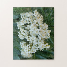 Alpen Parel Bloesem Puzzel, 28 cm x 36 cm, 252 stu Legpuzzel