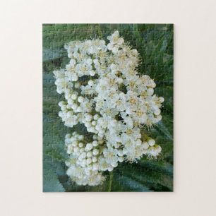 Alpen Parel Bloesem Puzzel, 28 cm x 36 cm, 252 stu Legpuzzel