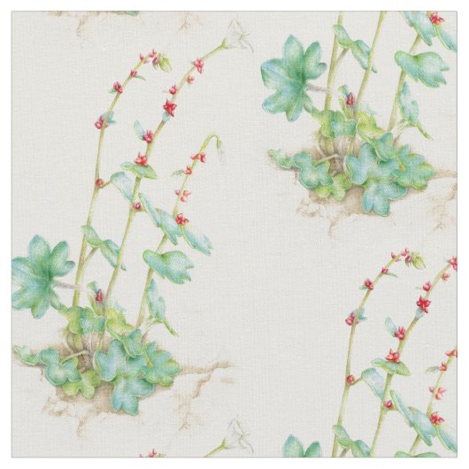 Alpen saxifrage aquarel bloem stof (Close Up)