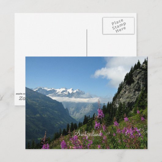 Alpen - Zwitserland Briefkaart (Voorkant / Achterkant)