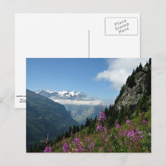 Alpen - Zwitserland Briefkaart (Voorkant / Achterkant)