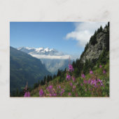 Alpen - Zwitserland Briefkaart (Voorkant)