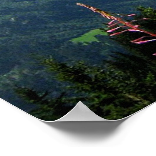 Alpen - Zwitserland Poster (Hoek)