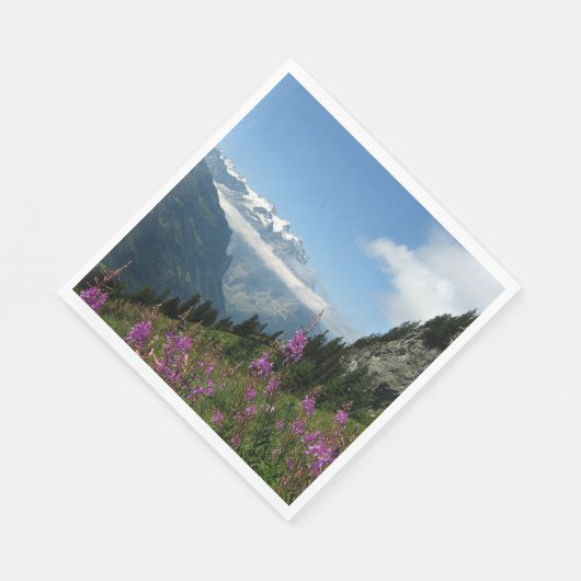 Alpen, Zwitserland Servet (Hoek)