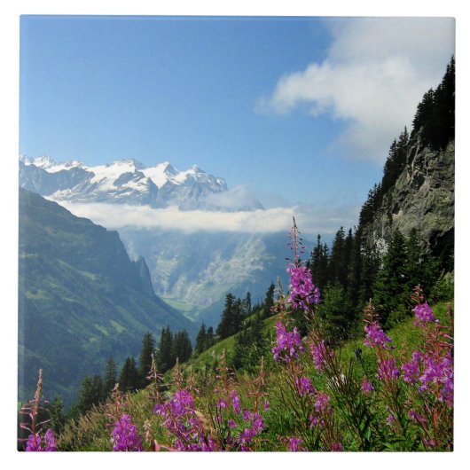 Alpen - Zwitserland Tegeltje (Voorkant)