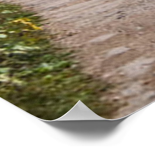 Alpenbergmeer Gosauseen meer Oostenrijk Poster (Hoek)