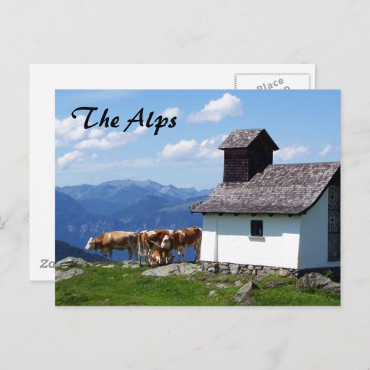 Alpenbergscène met AlpenKoeien Briefkaart (Voorkant / Achterkant)