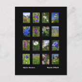 Alpenbloemen briefkaart (Voorkant)