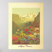Alpenbloemen Kunst Poster (Voorkant)