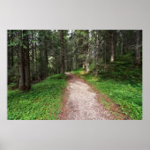 Alpenbos Poster (Voorkant)