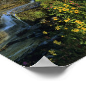 Alpene wilde bloemen & Mt Clements bij Logan Pass Poster (Hoek)