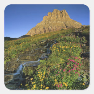 Alpene wilde bloemen & Mt Clements bij Logan Pass Vierkante Sticker