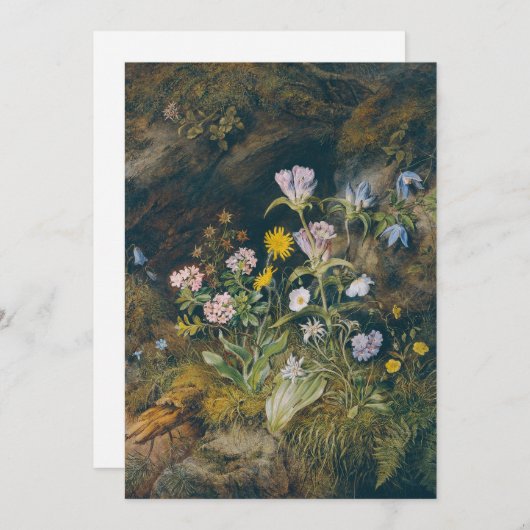 alpenflora | Theodor Petter (Voorkant / Achterkant)