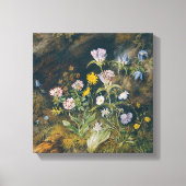 alpenflora | Theodor Petter Canvas Afdruk (Voorkant)