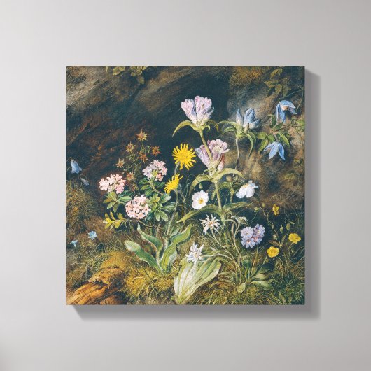 alpenflora | Theodor Petter Canvas Afdruk (Voorkant)