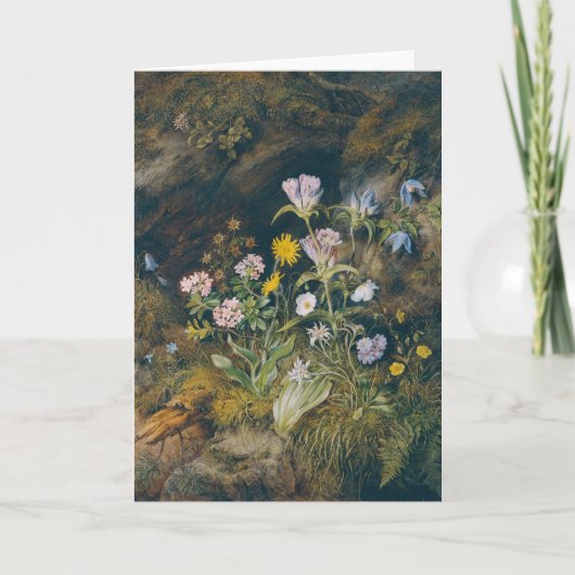 alpenflora | Theodor Petter Kaart (Voorkant)