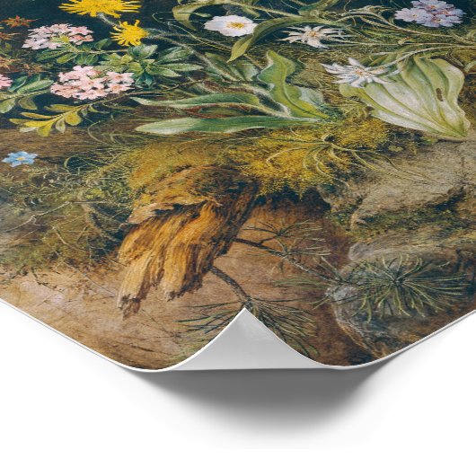 alpenflora | Theodor Petter Poster (Hoek)